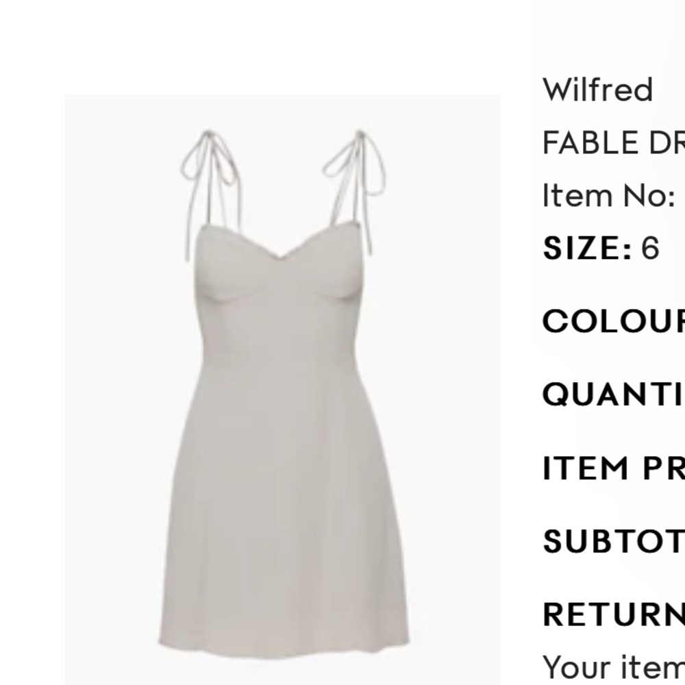 COPY - Aritzia Fable Dress